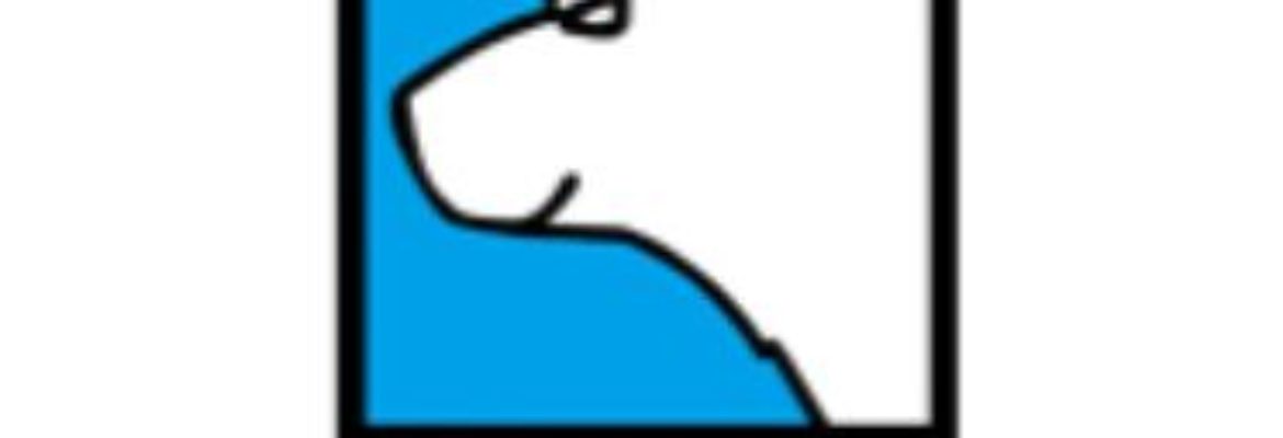 Ice Bear Powersports